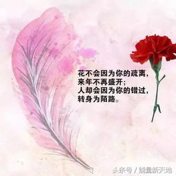 正能量的結(jié)尾句子,積極向上正能量的句子結(jié)尾,銷售結(jié)尾正能量句子