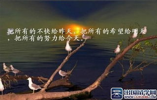 傳遞愛心正能量的句子,傳遞正能量的句子簡(jiǎn)短,傳遞快樂正能量的句子