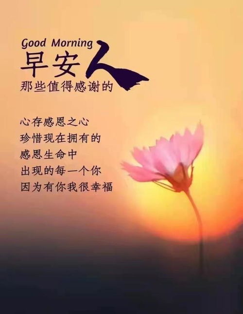 短句,早安,句子,能量
