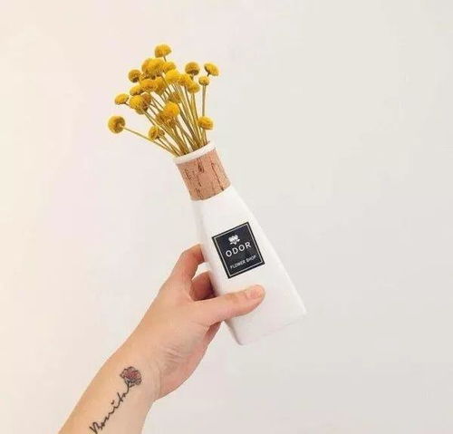 正能量滿滿的勵(lì)志句子,雨天幽默正能量的句子,正能量孝順老人的句子