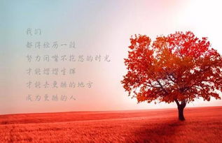 開(kāi)心正能量的句子說(shuō)說(shuō)心情,夫妻正能量句子說(shuō)說(shuō)心情,心情好正能量的句子說(shuō)說(shuō)心情