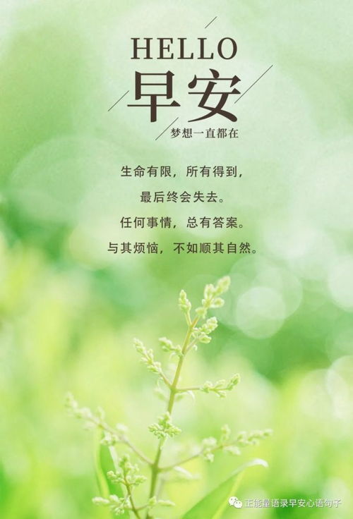 周末愉快的正能量句子,愉快開(kāi)心正能量的句子,關(guān)于堅(jiān)持的正能量句子