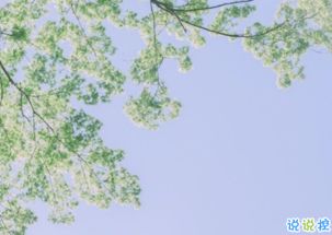 正能量調(diào)皮的句子