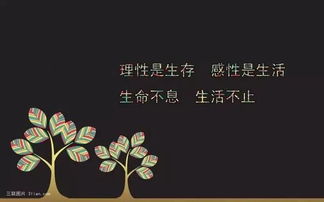 朋友圈正能量句子大全唯美,銷(xiāo)售朋友圈正能量經(jīng)典句子,早安的朋友圈句子大全正能量