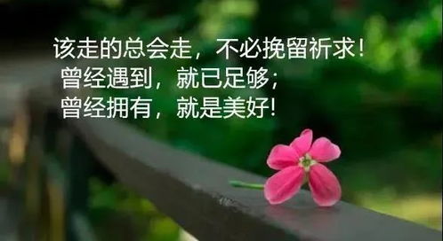 遠(yuǎn)離沒有正能量的人句子,遠(yuǎn)離負(fù)能量,正能量句子,正能量遠(yuǎn)離負(fù)能量的人的句子