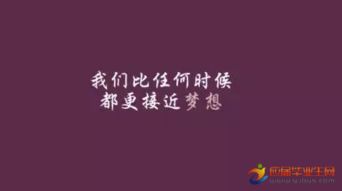 句子,能量,茶語正