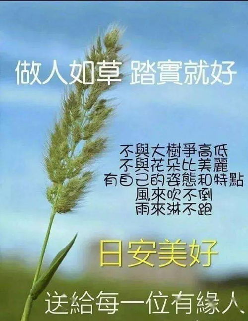 早安,句子,勵志,能量