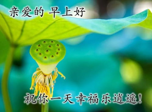 早上發(fā)圈積極正能量的句子