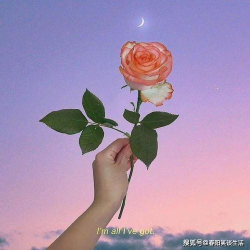 積極陽光正能量早安的句子