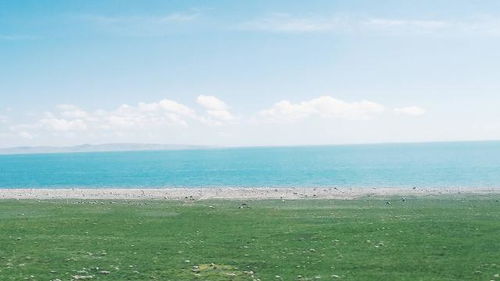 積極向上正能量的文言文句子,正能量文言文句子及翻譯,正能量的文言文句子經(jīng)典語句