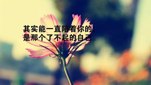 句子,心強(qiáng),能量,大正