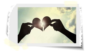 向女朋友道歉的句子正能量的話