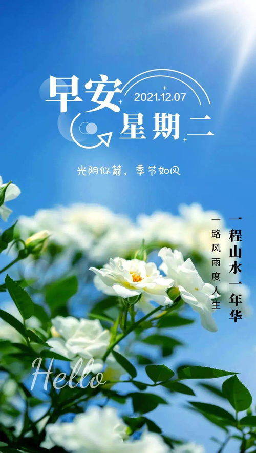 早上正能量的句子,星期二語(yǔ)錄正能量句子,早上滿滿的正能量句子