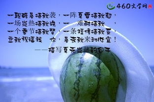 有關(guān)夏天音樂正能量的句子