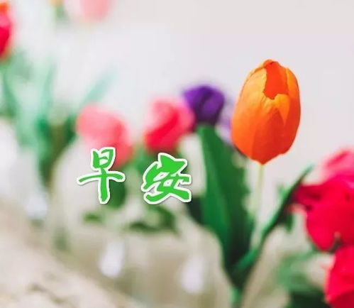 句子,能量,生病,心態(tài)