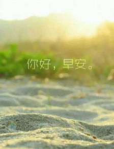 新的一天正能量句子早安勵(lì)志心語大全,新的一天新的開始正能量句子早安,新的一天充滿陽光正能量的句子