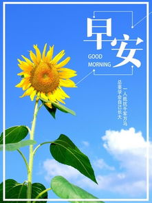 正能量的句子適合早上發(fā)的