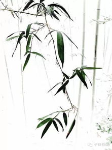 正能量的句子國(guó)學(xué)