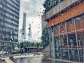 下雨天適合發(fā)朋友圈正能量句子