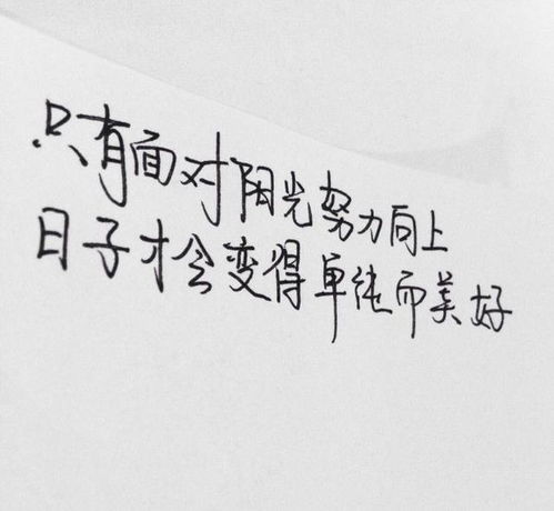 熱愛祖國正能量的句子,陽光正能量的句子,晚安正能量句子