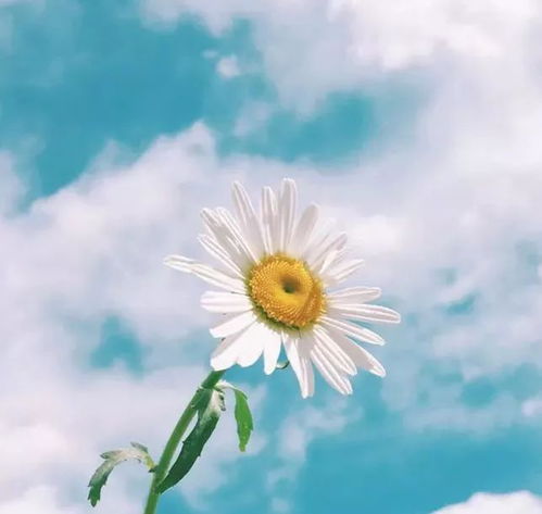 形容太陽(yáng)正能量句子