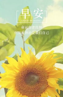 有關春天的正能量句子大全