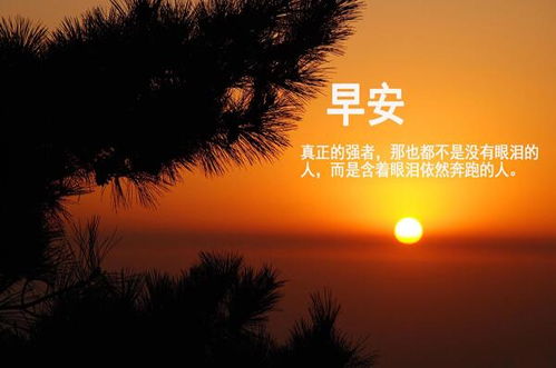 單身正能量的句子