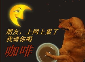 關于小狗正能量的句子