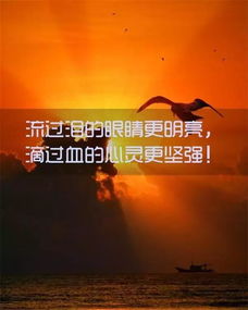 每日分享正能量句子,早會(huì)分享正能量句子,早安正能量句子