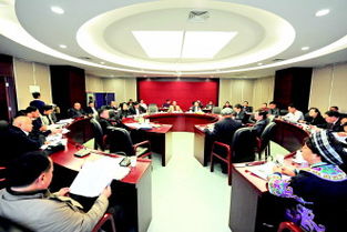 句子,政協(xié),能量,報告