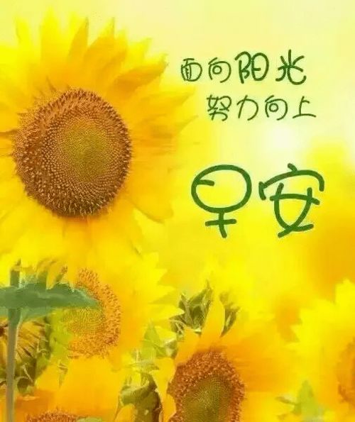 早安溫馨句子大全正能量,幼兒園早安語(yǔ)錄正能量的句子,幼兒園早安勵(lì)志正能量的句子