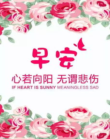 長壽,句子,能量