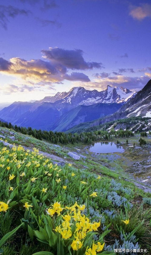 句子,能量,充滿,陽光