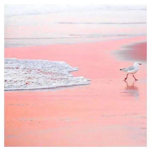 感情心態(tài)正能量的句子長句,心態(tài)陽光正能量句子,上班心態(tài)正能量句子