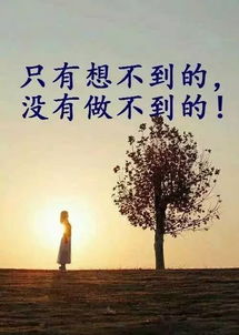 句子,語句,能量,人生