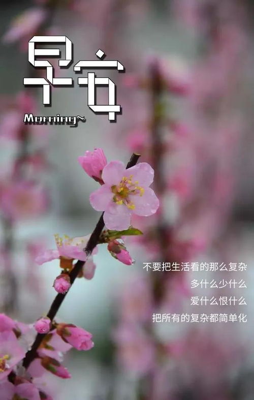 寫給余生的正能量句子