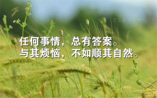 人生正能量勵(lì)志的句子感悟,正能量句子簡(jiǎn)短感悟,工作正能量句子簡(jiǎn)短感悟