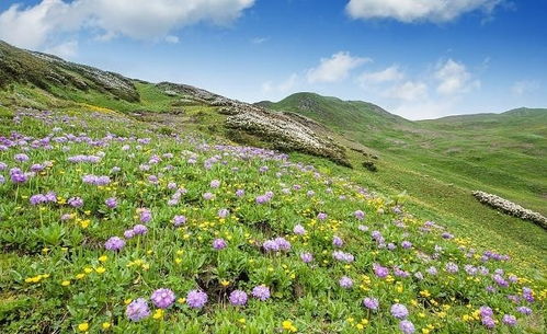 簡(jiǎn)短,句子,能量,樂觀