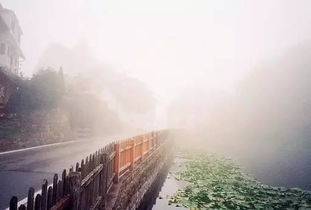 正能量的句子經(jīng)典長(zhǎng)句英語