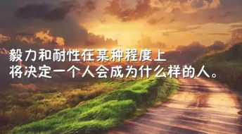 句子,語句,能量,冬季