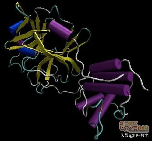 抗冠狀病毒的正能量句子