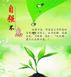 早安,句子,語句,能量