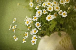 朋友圈勵(lì)志正能量心情說說句子大全唯美大全