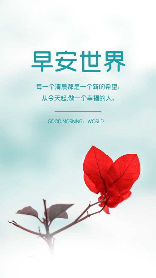 句子,能量,陽(yáng)光,心情