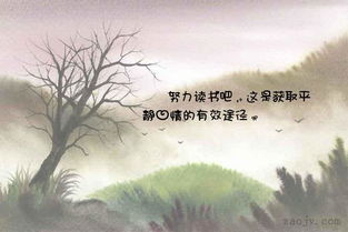 句子,能量,付出,收獲