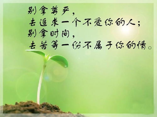 一個(gè)人正能量的句子說說心情短語,正能量的句子說說心情短語,感謝正能量的句子說說心情短語