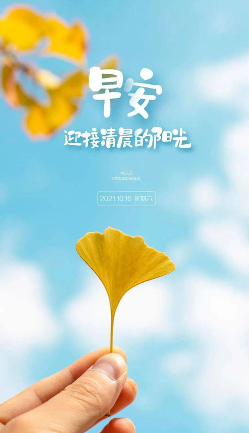 早安心語正能量句子問候語簡短