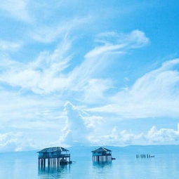 努力樂觀向上的句子正能量