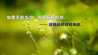 激勵人心的句子正能量團隊