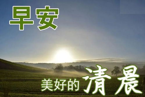 心情失落正能量句子帶字